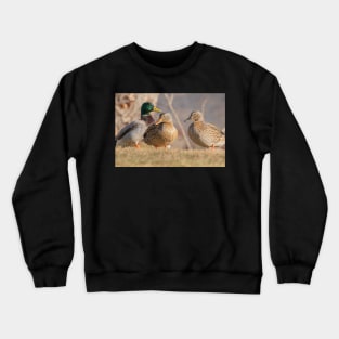 Three Mallard Ducks Crewneck Sweatshirt